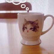 ヒメ日記 2026/01/31 09:37 投稿 きさき CECIL