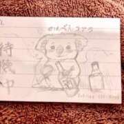 ヒメ日記 2026/03/25 13:35 投稿 きさき CECIL