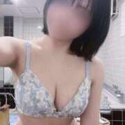 ヒメ日記 2026/03/30 05:47 投稿 きさき CECIL