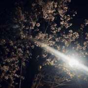 ヒメ日記 2026/04/09 23:25 投稿 きさき CECIL