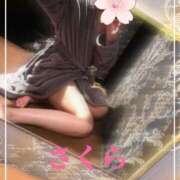 ヒメ日記 2025/04/24 10:34 投稿 さくら 横浜秘密倶楽部