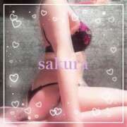 ヒメ日記 2025/05/03 18:13 投稿 さくら 横浜秘密倶楽部