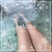 ヒメ日記 2025/05/16 12:16 投稿 さくら 横浜秘密倶楽部