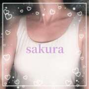 ヒメ日記 2025/05/17 08:48 投稿 さくら 横浜秘密倶楽部