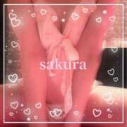 ヒメ日記 2025/05/29 08:02 投稿 さくら 横浜秘密倶楽部