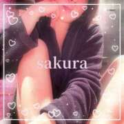 ヒメ日記 2025/06/03 08:15 投稿 さくら 横浜秘密倶楽部