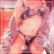 ヒメ日記 2025/07/19 08:45 投稿 さくら 横浜秘密倶楽部