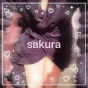 ヒメ日記 2025/09/06 08:45 投稿 さくら 横浜秘密倶楽部