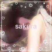 ヒメ日記 2025/09/10 21:01 投稿 さくら 横浜秘密倶楽部