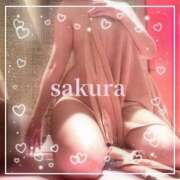 ヒメ日記 2025/09/13 08:45 投稿 さくら 横浜秘密倶楽部