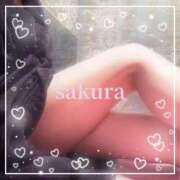 ヒメ日記 2025/11/01 08:45 投稿 さくら 横浜秘密倶楽部