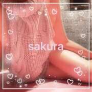 ヒメ日記 2025/11/15 21:30 投稿 さくら 横浜秘密倶楽部