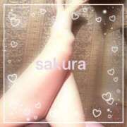 ヒメ日記 2026/01/08 21:30 投稿 さくら 横浜秘密倶楽部