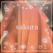 ヒメ日記 2026/01/12 08:30 投稿 さくら 横浜秘密倶楽部