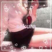 さくら ★ありがとう★ 横浜秘密倶楽部