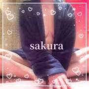 ヒメ日記 2026/01/22 08:45 投稿 さくら 横浜秘密倶楽部