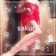 ヒメ日記 2026/01/31 08:15 投稿 さくら 横浜秘密倶楽部