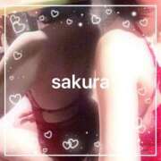 ヒメ日記 2026/02/12 21:15 投稿 さくら 横浜秘密倶楽部