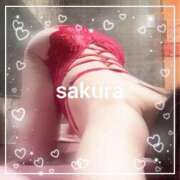 ヒメ日記 2026/02/14 08:30 投稿 さくら 横浜秘密倶楽部