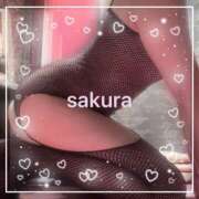 ヒメ日記 2026/02/14 21:15 投稿 さくら 横浜秘密倶楽部