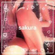 ヒメ日記 2026/02/16 21:45 投稿 さくら 横浜秘密倶楽部