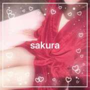 ヒメ日記 2026/02/21 08:31 投稿 さくら 横浜秘密倶楽部