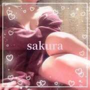 さくら ★おはよう★ 横浜秘密倶楽部