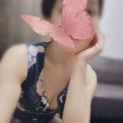 ヒメ日記 2025/12/27 11:07 投稿 菊池 Bell.Madonna（ベルマドンナ）