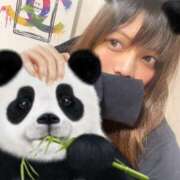 ヒメ日記 2025/05/31 10:05 投稿 もえか メイドde本舗