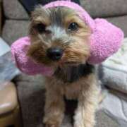 ヒメ日記 2025/05/03 20:45 投稿 いちか 萌えコス