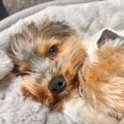 ヒメ日記 2025/05/12 07:35 投稿 いちか 萌えコス