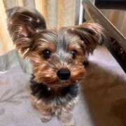 ヒメ日記 2025/05/16 06:33 投稿 いちか 萌えコス