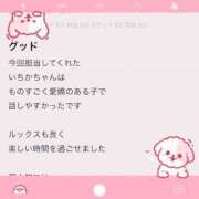 ヒメ日記 2025/07/15 07:50 投稿 いちか 萌えコス