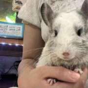 ヒメ日記 2025/09/08 21:37 投稿 いちか 萌えコス