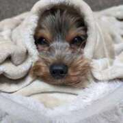 ヒメ日記 2025/11/04 19:57 投稿 いちか 萌えコス