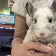 ヒメ日記 2025/11/07 10:25 投稿 いちか 萌えコス