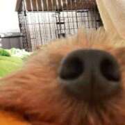 ヒメ日記 2025/11/25 21:48 投稿 いちか 萌えコス