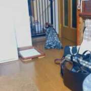 ヒメ日記 2025/11/27 18:25 投稿 いちか 萌えコス