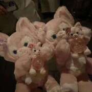 ヒメ日記 2026/02/24 10:15 投稿 いちか 萌えコス