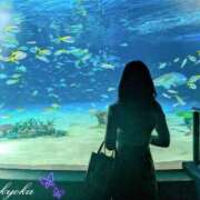 ヒメ日記 2025/04/27 18:22 投稿 きょうか 肉体の門