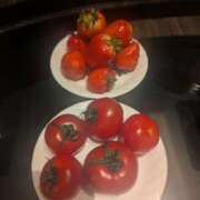 ヒメ日記 2026/02/19 21:28 投稿 きょうか 肉体の門