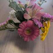 ヒメ日記 2026/04/05 14:07 投稿 きょうか 御奉仕関係 -淑女の秘め事-