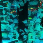 ヒメ日記 2025/05/07 09:21 投稿 みほ 横浜人妻花壇本店