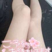 ヒメ日記 2025/05/14 13:03 投稿 ルカ 京都出張メンズエステChou Chou（シュシュ)