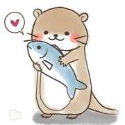 ヒメ日記 2025/04/26 22:55 投稿 まりえ セクシーキャット 小田原店