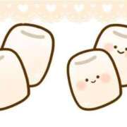 ヒメ日記 2025/11/14 12:11 投稿 まりえ セクシーキャット 小田原店