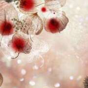 まりえ 向かってまぁす セクシーキャット 小田原店