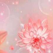 まりえ ありがたや  ニコニコ セクシーキャット 小田原店