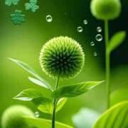 ヒメ日記 2026/03/20 09:31 投稿 まりえ セクシーキャット 小田原店