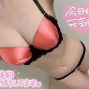 ヒメ日記 2026/02/02 23:52 投稿 つきみ Charme（シャルム）